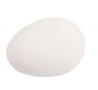 Nesteier - Gänse - Gips Nesteier - Gänse - Gips