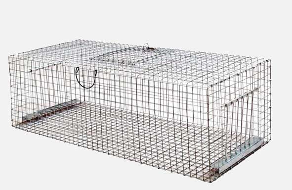 Taubenfalle (90 x 40 x 30 cm) - Bild 1