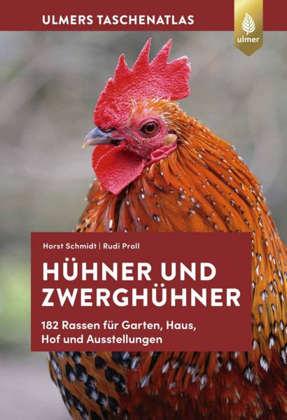 Hühner und Zwerghühner