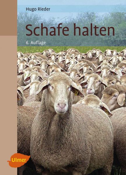 Schafe halten