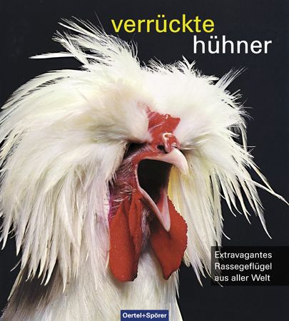 Verrückte Hühner - Bild 1