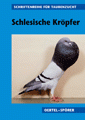 Schlesische Kröpfer - Bild 1