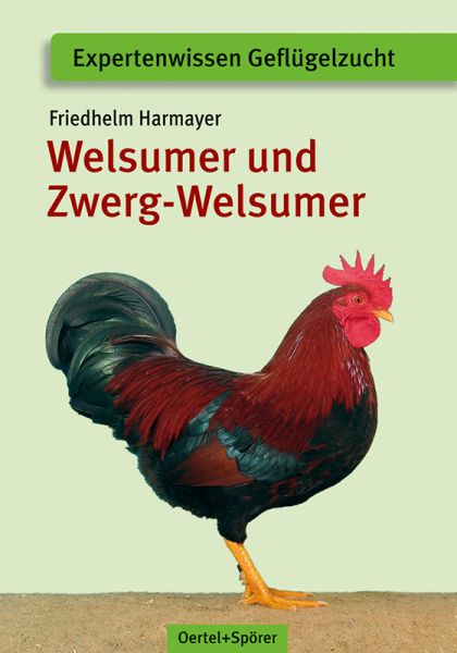 Welsumer und Zwerg-Welsumer