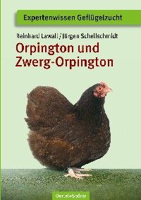 Orpington und Zwerg-Orpington - Bild 1