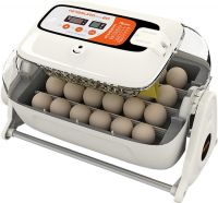 RCOM King Suro 20 - Bild 1 RCOM King Suro 20 - Bild 1