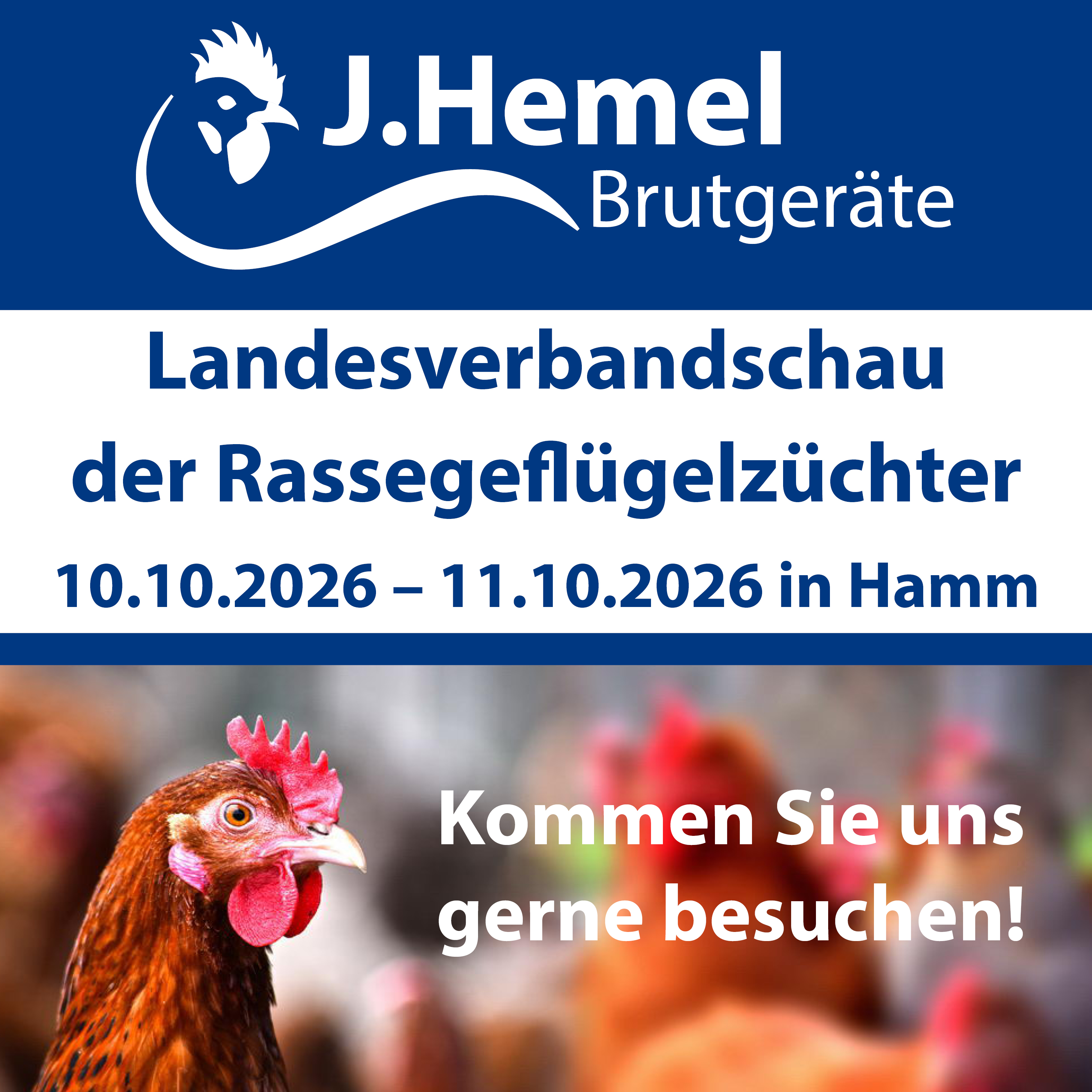 Landesverbandsschau in Hamm