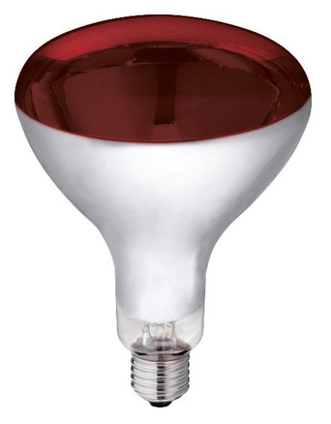 Infrarotlampe (250 Watt)