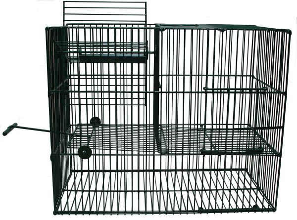 Bird trap (multi catch)