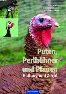 Puten-Pfauen-Perlhühner