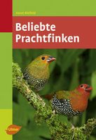 Beliebte Prachtfinken - Bild 1