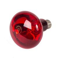 Infrarotlampe 60 Watt rot Infrarotlampe 60 Watt rot