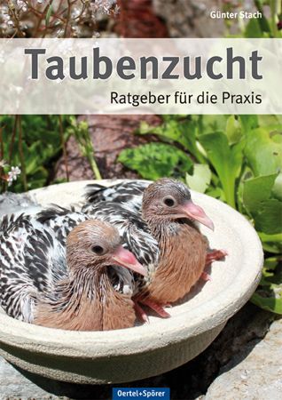 Taubenzucht - Ratgeber für die Praxis - Bild 1