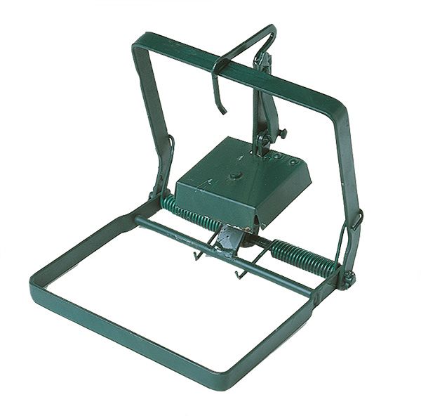 Trap for muskrats
