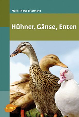 Hühner-Gänse-Enten - Bild 1