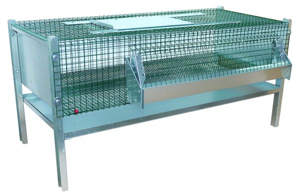 Fattening cage for quails