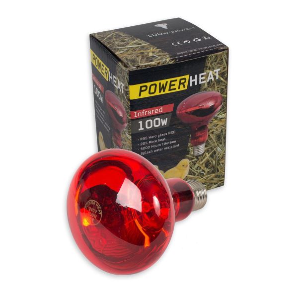 Infrared bulb (100 Watt)