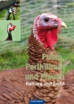 Puten, Perlhühner und Pfauen - Bild 1
