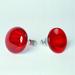 Infrarotlampe (250 Watt) - Bild 1