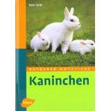 Kaninchen - Bild 1