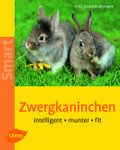 Zwergkaninchen - Bild 1