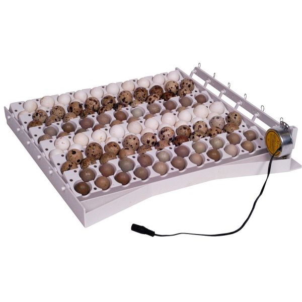 Automatic turner (quail/partridge eggs)