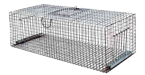 Trap for pigeons (90 x 40 x 30 cm)