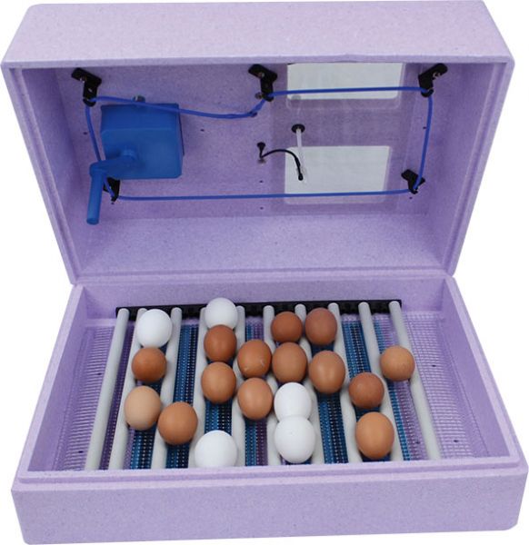 Flächenbrüter mit automatischer Wendung / analog - Bild 1