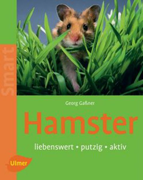 Hamster