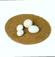 Eier - Hühner - Gips - Bild 1 Eier - Hühner - Gips - Bild 1