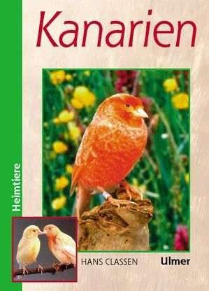 Kanarien - Bild 1