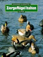 Ziergeflügel halten - Bild 1