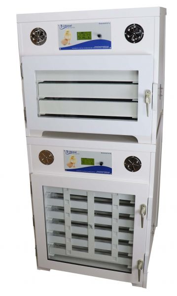 Incubator Thermo de Luxe 950