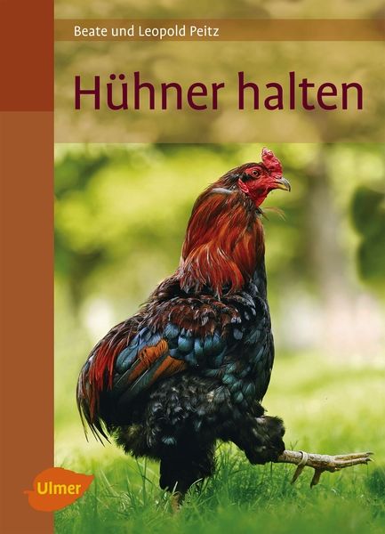 Hühner halten - Bild 1