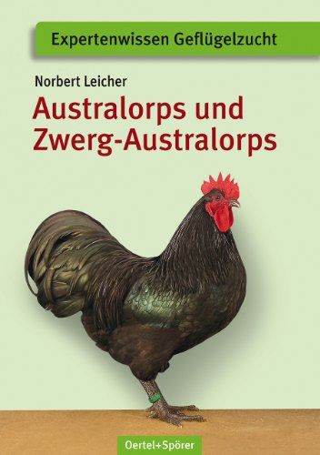 Australorps und Zwerg-Australorps - Bild 1