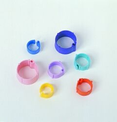 Clipsring aus Kunststoff (14mm) - Bild 1