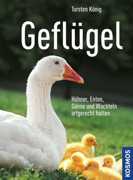 Geflügel - Bild 1