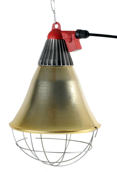 Chick lamp for infrared bulbs and dark emitters
