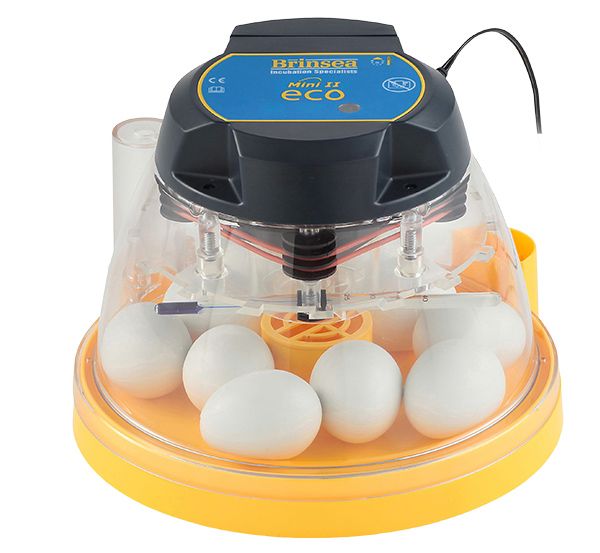 Mini II Eco - Incubator