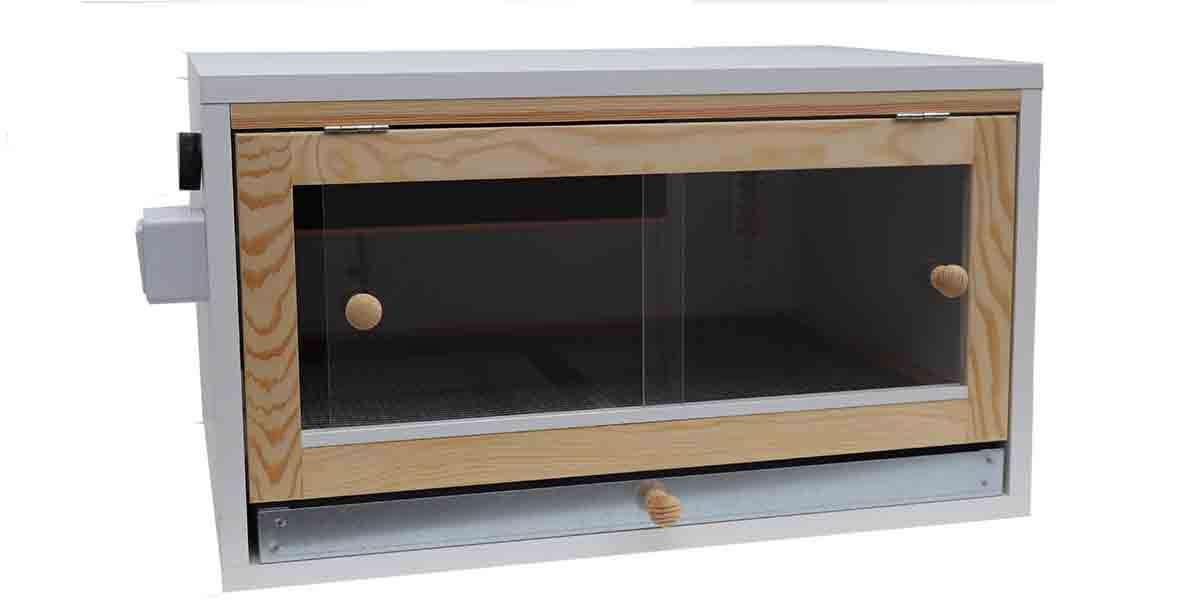 BESTonZON Reptilien Box Transparent - Aufzuchtbox Für Spinnen & Insekten