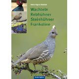 Wachteln, Rebhühner, Steinhühner, usw. - Bild 1