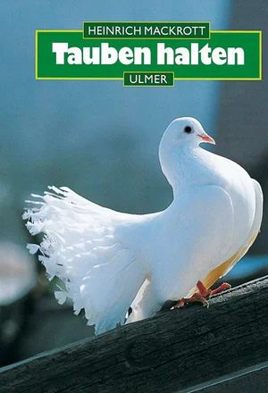 Tauben halten - Bild 1
