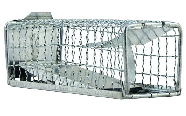Kastenfalle für Ratten (35 x 10 x 10 cm)