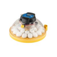 Brinsea Maxi 24 Advance  Brinsea Maxi 24 Advance