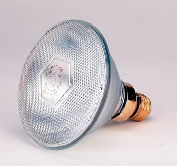 Wärmelampe - Infrarot - klar - Sparlampe (175 Watt) - Bild 1
