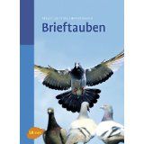 Brieftauben - Bild 1