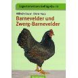 Barnevelder und Zwerg-Barnevelder - Bild 1