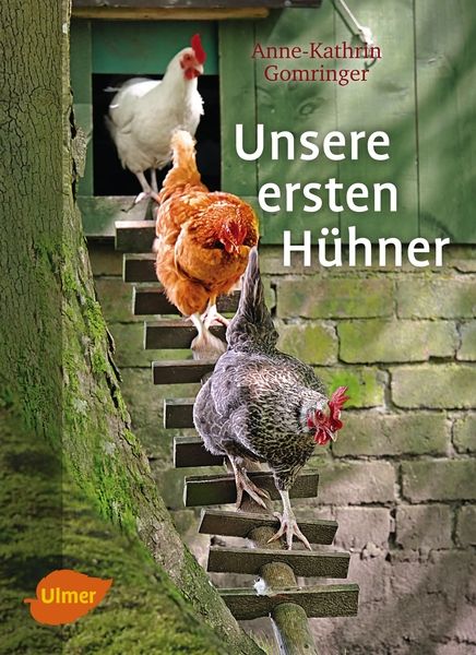 Unsere ersten Hühner - Bild 1