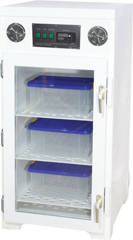 Incubator for reptiles - Repti 2