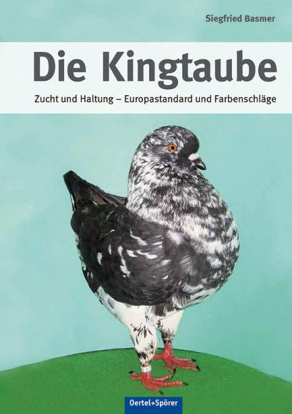 Die Kingtaube (Zucht und Haltung)