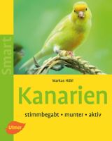 Kanarien - stimmbegabt - munter - aktiv - Bild 1 Kanarien - stimmbegabt - munter - aktiv - Bild 1